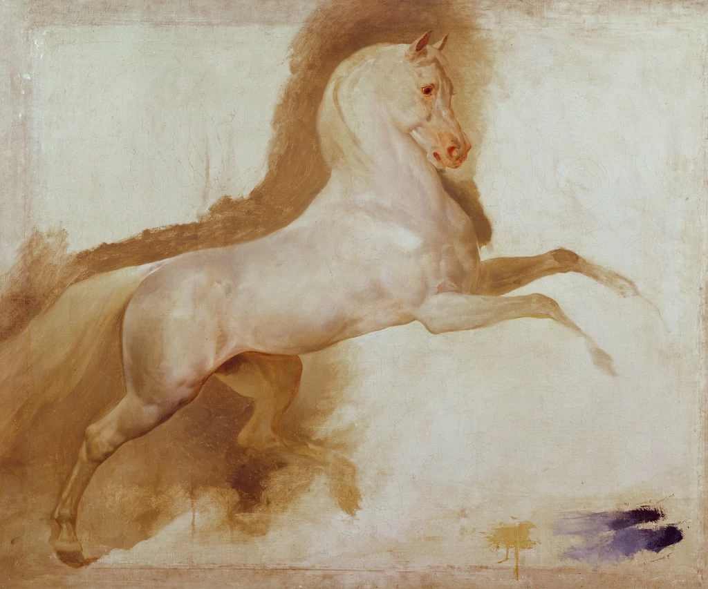 102-Antoine-Jean Gros-Studio per il cavallo di Murat-Musee des Beaux-Arts et d'Archeologie, Besancon